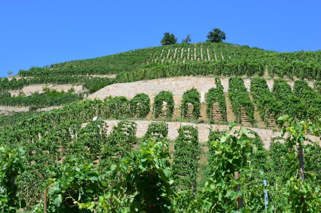 Lamaisondemamere * Tournon-sur-Rhone